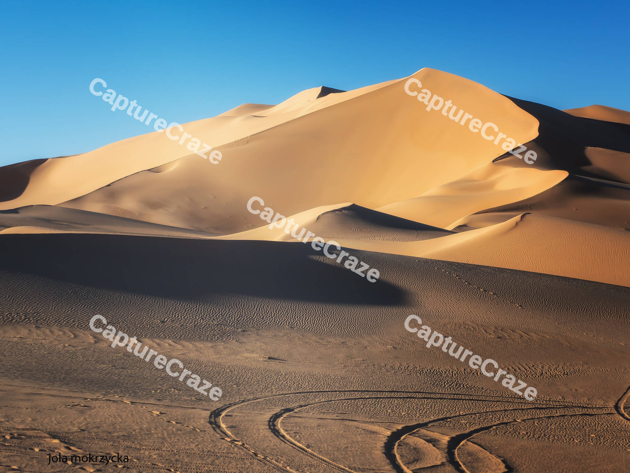 Sahara Desert Dune